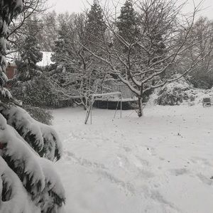 Meet your Posher, Sadie